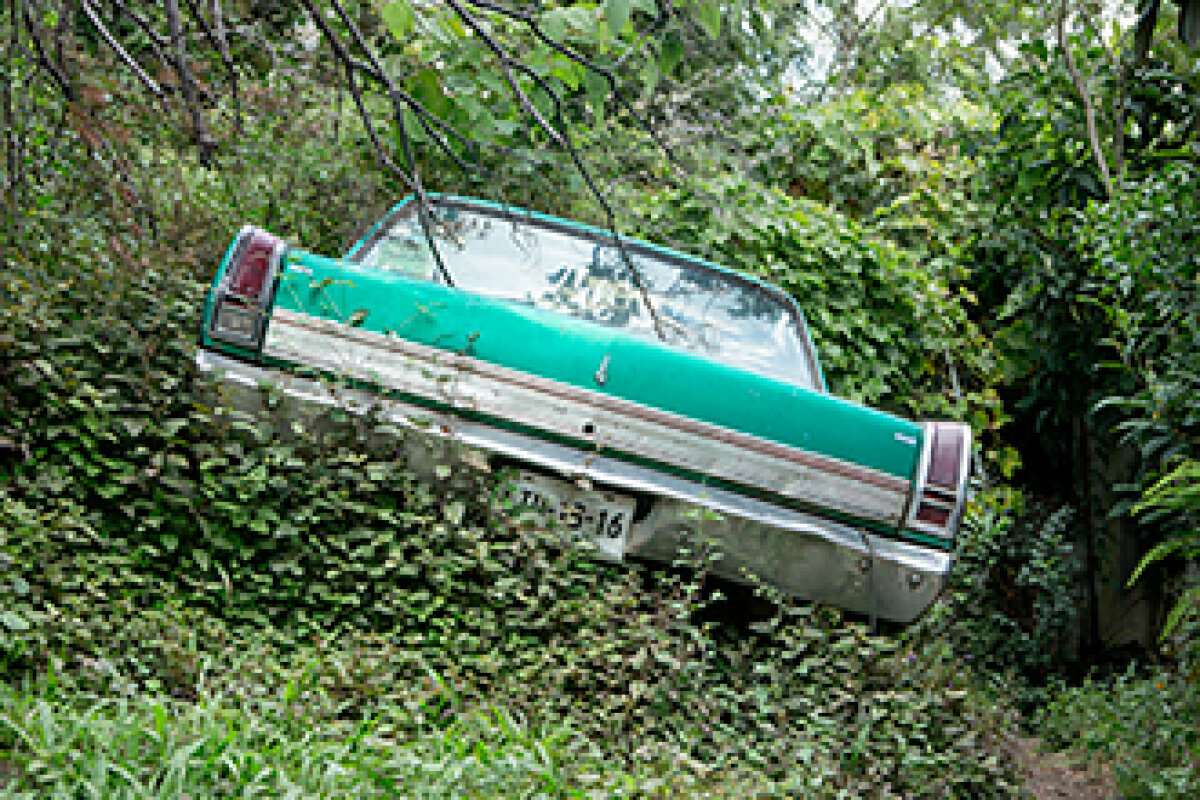 Auta, květy, domy, spáči